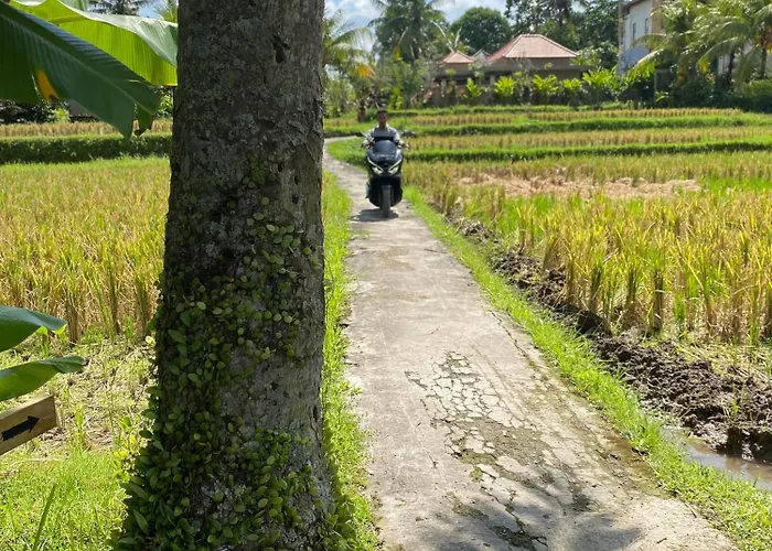 Gasthuis Lumbung Sedana Ubud