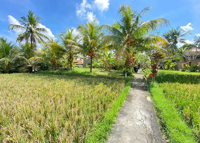 Lumbung Sedana
