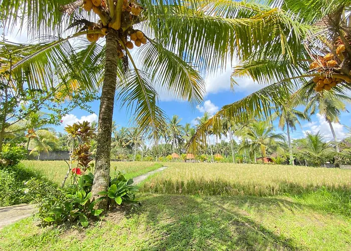 Gasthuis Lumbung Sedana Ubud