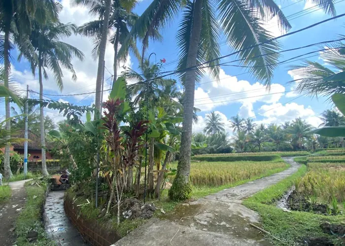 Lumbung Sedana Gasthuis Ubud